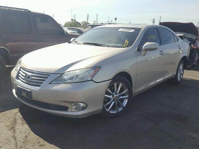 JTHBK1EGXC2477492 - 2012 LEXUS ES 350 GOLD photo 2