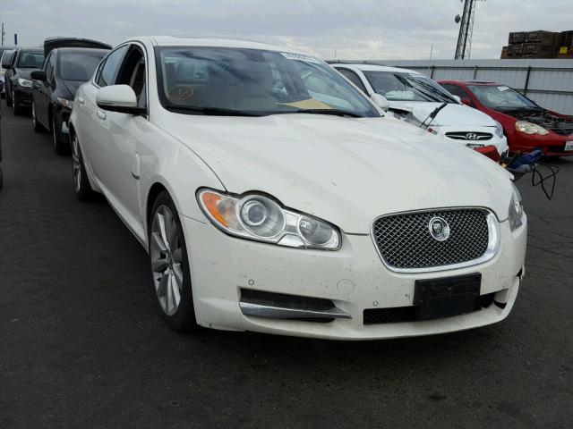 SAJWA0GB3ALR55908 - 2010 JAGUAR XF PREMIUM CREAM photo 1