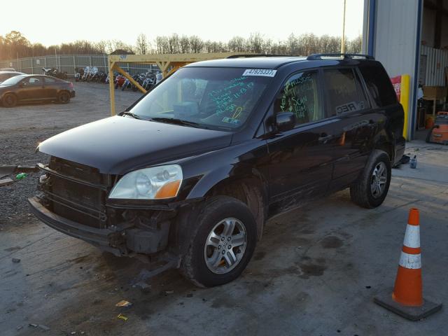 2HKYF18464H541934 - 2004 HONDA PILOT EX BLACK photo 2