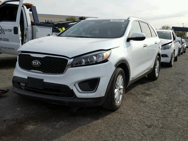 5XYPGDA53HG197456 - 2017 KIA SORENTO LX WHITE photo 2