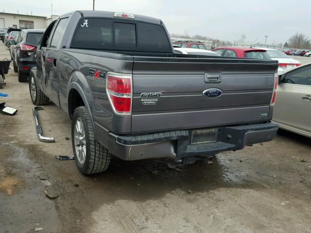 1FTFW1EV0AKE34749 - 2010 FORD F150 SUPER GRAY photo 3