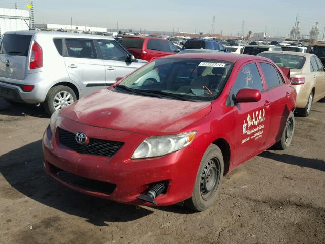 1NXBU4EE7AZ310550 - 2010 TOYOTA COROLLA BA RED photo 2