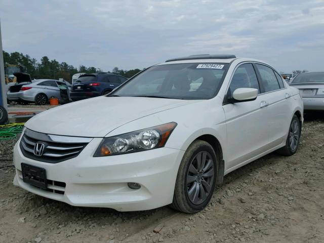 5KBCP3F8XBB001413 - 2011 HONDA ACCORD EXL WHITE photo 2