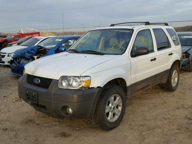 1FMYU93165DA22726 - 2005 FORD ESCAPE XLT WHITE photo 2