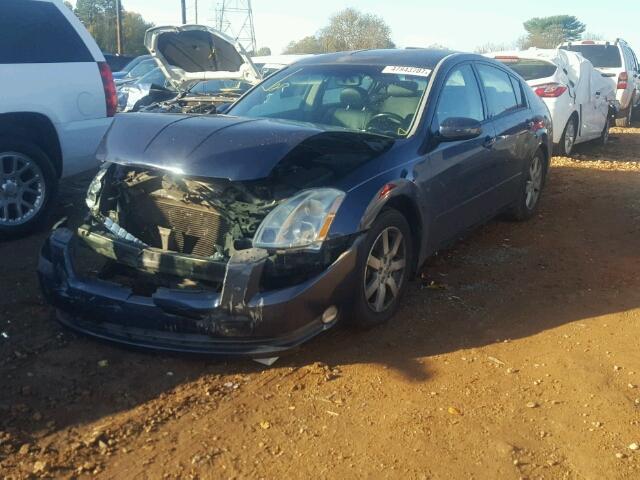 1N4BA41E26C864729 - 2006 NISSAN MAXIMA SE BLUE photo 2