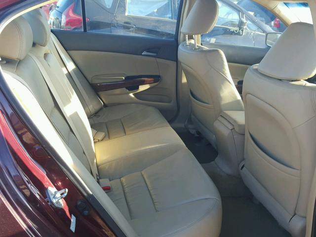 1HGCP26849A096340 - 2009 HONDA ACCORD EXL BURGUNDY photo 6