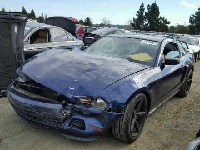 1ZVBP8AN3A5101838 - 2010 FORD MUSTANG BLUE photo 2