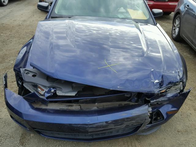 1ZVBP8AN3A5101838 - 2010 FORD MUSTANG BLUE photo 7