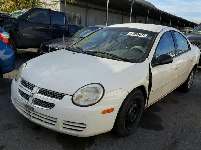 1B3ES56C45D276083 - 2005 DODGE NEON SXT WHITE photo 2