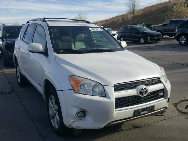 2T3DK4DV0AW016429 - 2010 TOYOTA RAV4 LIMIT WHITE photo 1