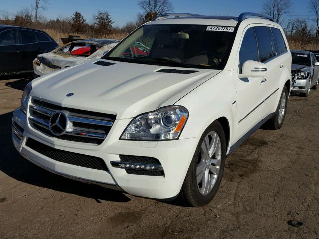 4JGBF2FE6BA747715 - 2011 MERCEDES-BENZ GL 350 BLU WHITE photo 2