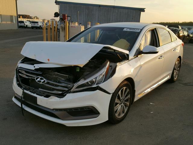 5NPE34AF6FH250037 - 2015 HYUNDAI SONATA SPO WHITE photo 2