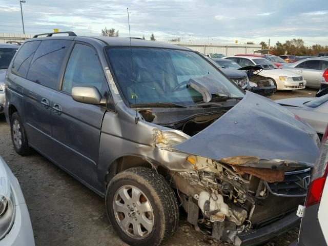 5FNRL18962B035007 - 2002 HONDA ODYSSEY EX GRAY photo 1