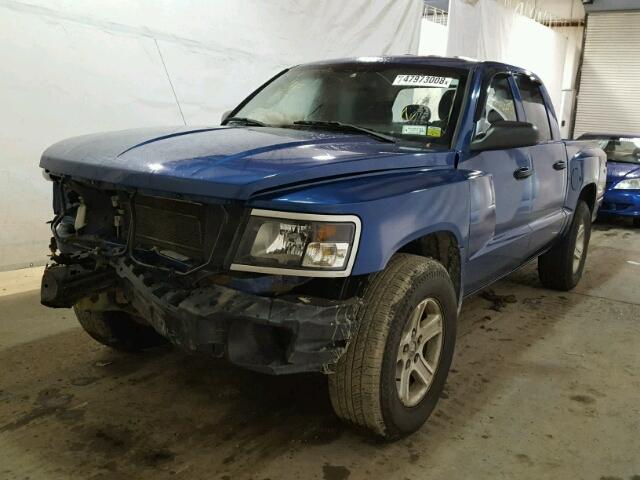 1D7RW3GK4BS549695 - 2011 DODGE DAKOTA SLT BLUE photo 2