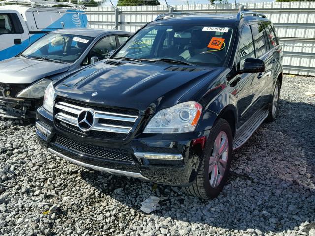 4JGBF2FEXCA796305 - 2012 MERCEDES-BENZ GL 350 BLU BLACK photo 2