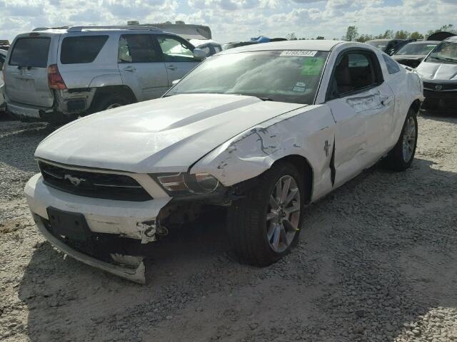 1ZVBP8AN9A5168704 - 2010 FORD MUSTANG WHITE photo 2