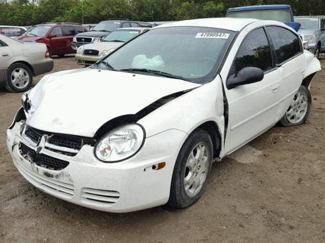 1B3ES56C85D153192 - 2005 DODGE NEON SXT WHITE photo 2