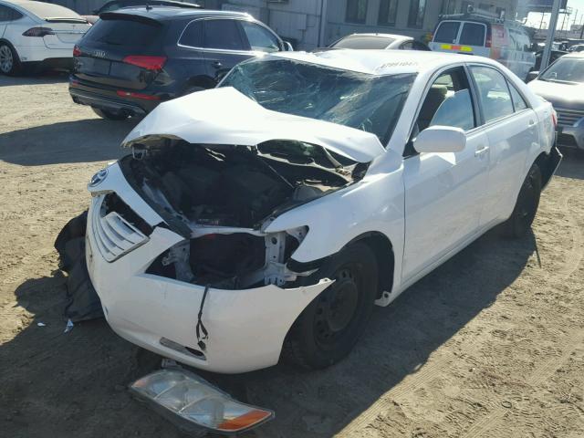 4T4BE46K09R137151 - 2009 TOYOTA CAMRY BASE WHITE photo 2
