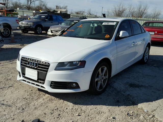 WAULF78K29N016983 - 2009 AUDI A4 2.0T QU WHITE photo 2