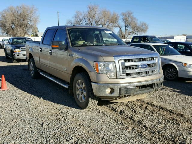 1FTFW1ET4DFD48680 - 2013 FORD F150 SUPER GOLD photo 1