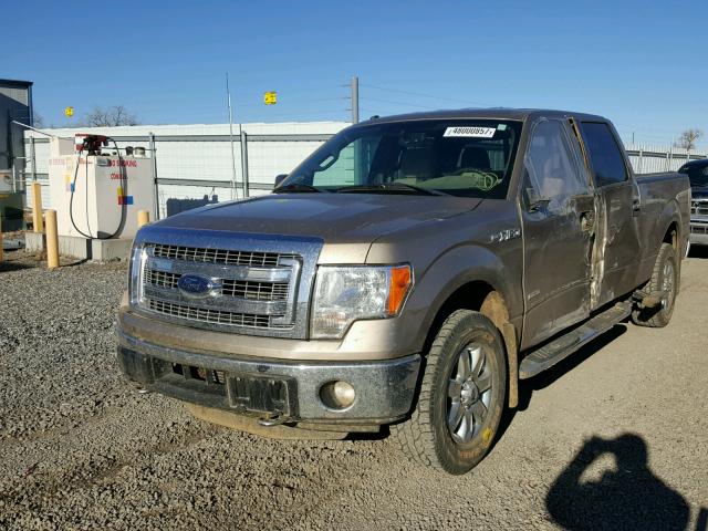 1FTFW1ET4DFD48680 - 2013 FORD F150 SUPER GOLD photo 2