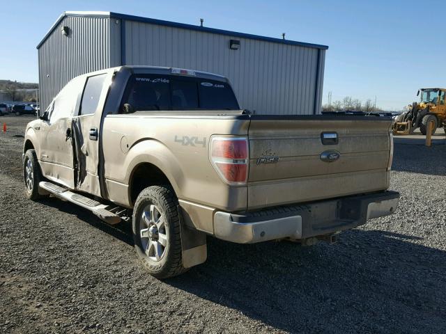 1FTFW1ET4DFD48680 - 2013 FORD F150 SUPER GOLD photo 3