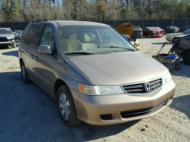 5FNRL18804B126462 - 2004 HONDA ODYSSEY EX GOLD photo 1