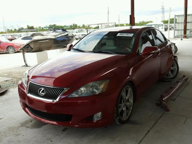 JTHBF5C27A5126067 - 2010 LEXUS IS 250 RED photo 2