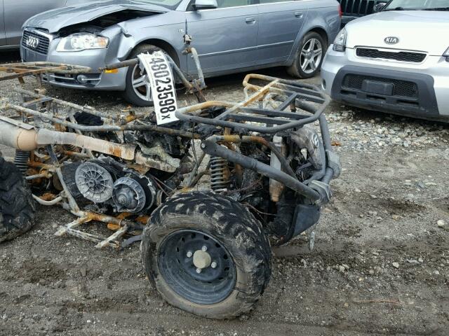 LCELDSZ2XG6005778 - 2016 ATV ALL MODELS BURN photo 10