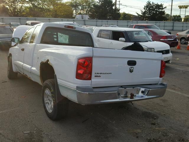 1D7HE42K55S244772 - 2005 DODGE DAKOTA SLT WHITE photo 3