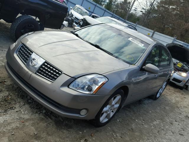 1N4BA41E36C826992 - 2006 NISSAN MAXIMA SE BEIGE photo 2