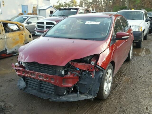 1FADP3K23DL311428 - 2013 FORD FOCUS SE MAROON photo 2