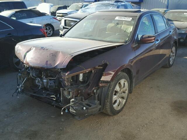 5KBCP3F81AB015442 - 2010 HONDA ACCORD EXL BURGUNDY photo 2