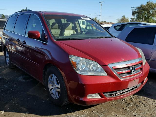 5FNRL38835B061250 - 2005 HONDA ODYSSEY TO BURGUNDY photo 1