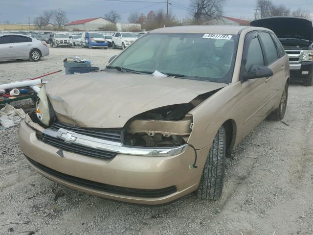 1G1ZT64874F175424 - 2004 CHEVROLET MALIBU MAX GOLD photo 2