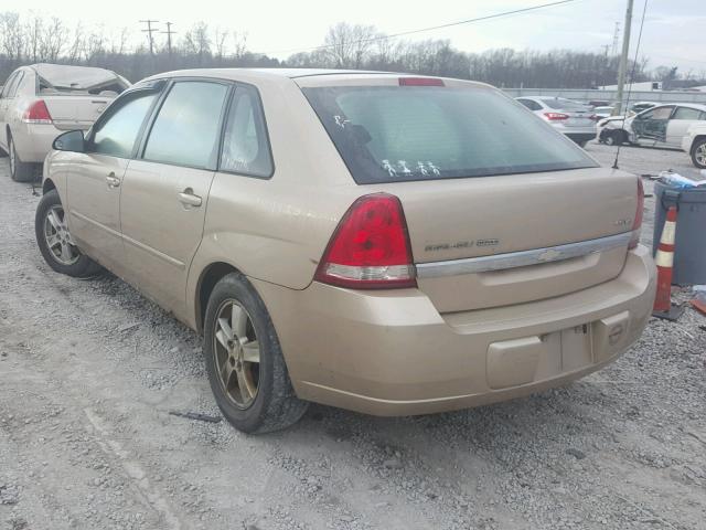 1G1ZT64874F175424 - 2004 CHEVROLET MALIBU MAX GOLD photo 3