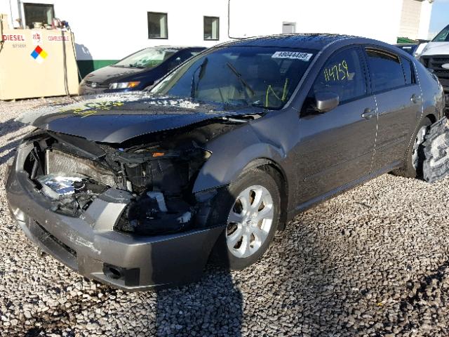 1N4BA41E87C854465 - 2007 NISSAN MAXIMA SE TAN photo 2