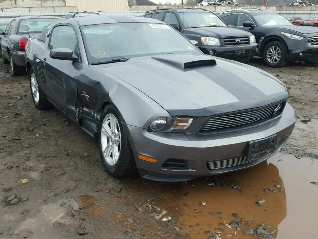 1ZVBP8AN4A5150093 - 2010 FORD MUSTANG GRAY photo 1