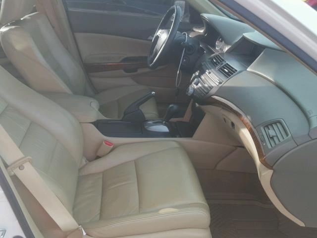 1HGCP36848A068963 - 2008 HONDA ACCORD EXL WHITE photo 5