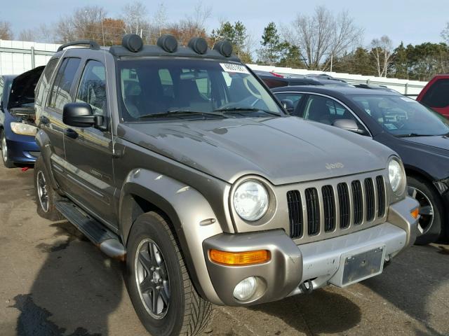 1J4GL38KX2W366474 - 2002 JEEP LIBERTY RE GOLD photo 1