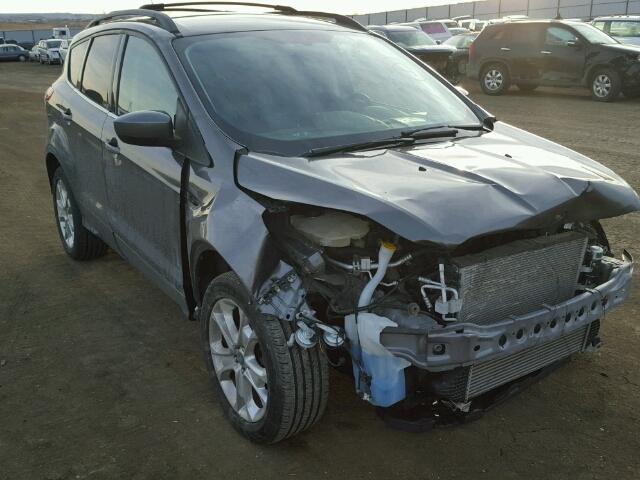 1FMCU9G99DUD73932 - 2013 FORD ESCAPE SE GRAY photo 1