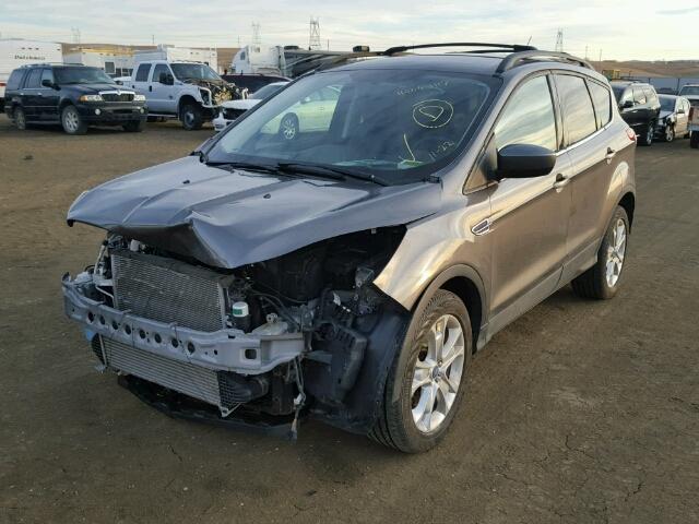 1FMCU9G99DUD73932 - 2013 FORD ESCAPE SE GRAY photo 2