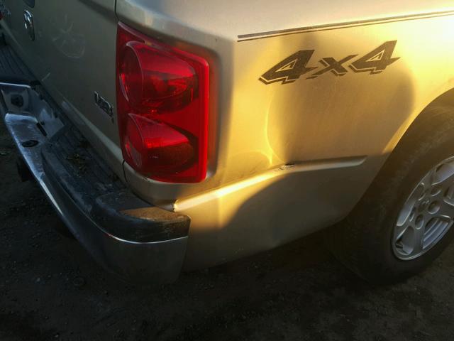 1D7HW48N75S167742 - 2005 DODGE DAKOTA QUA GOLD photo 9