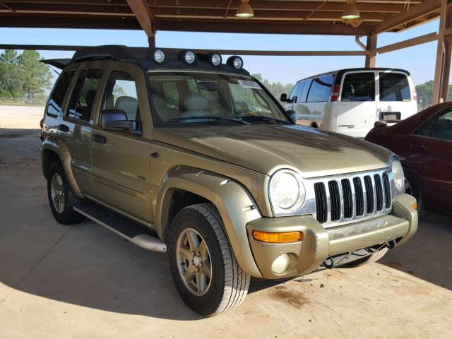 1J4GK38K73W500135 - 2003 JEEP LIBERTY RE GREEN photo 1