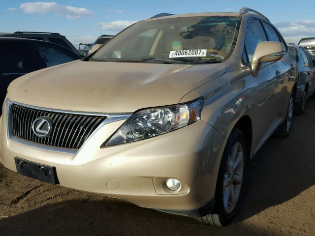 2T2BK1BA1AC018198 - 2010 LEXUS RX 350 GOLD photo 2