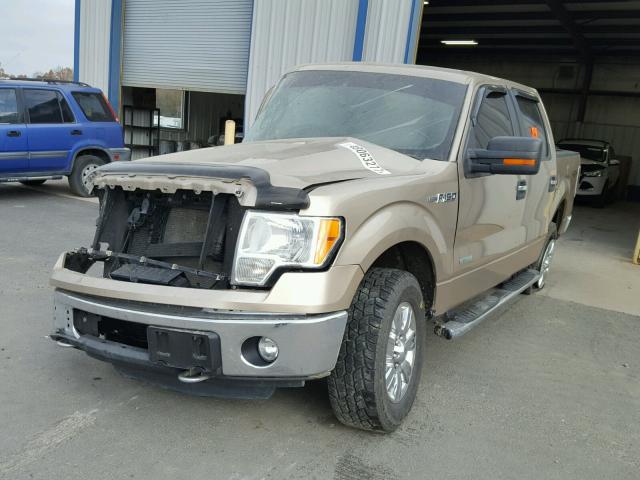 1FTFW1ET3BFB98087 - 2011 FORD F150 SUPER GOLD photo 2