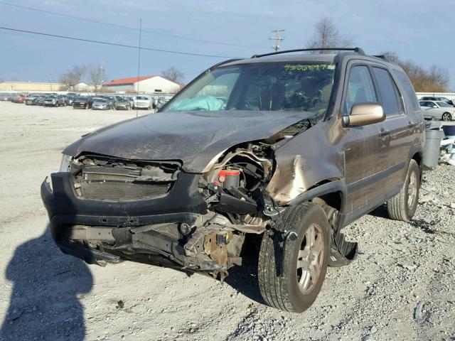 SHSRD78813U103523 - 2003 HONDA CR-V EX BROWN photo 2