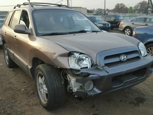 KM8SC73D75U980765 - 2005 HYUNDAI SANTA FE G BROWN photo 9