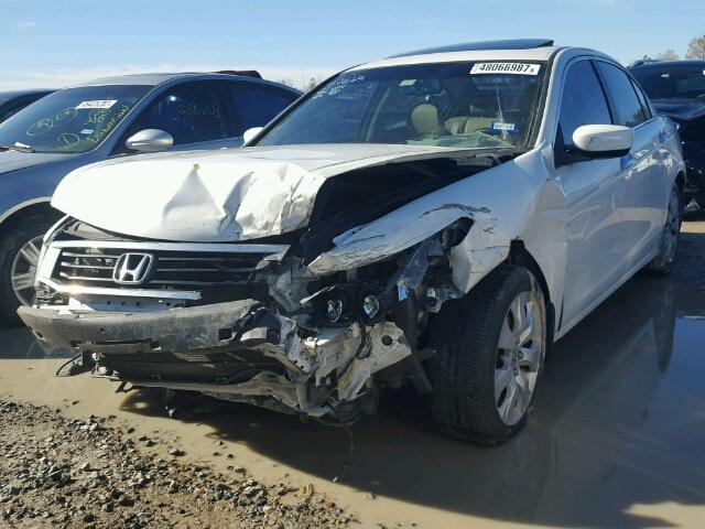 5KBCP3F84AB015659 - 2010 HONDA ACCORD EXL WHITE photo 2