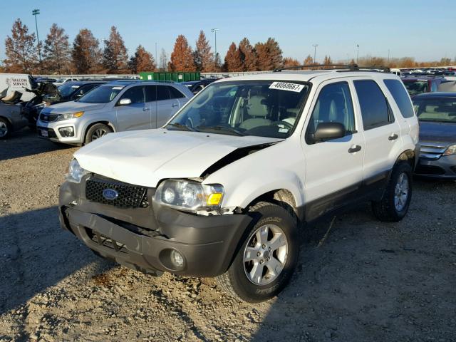 1FMYU93196KD04484 - 2006 FORD ESCAPE XLT WHITE photo 2